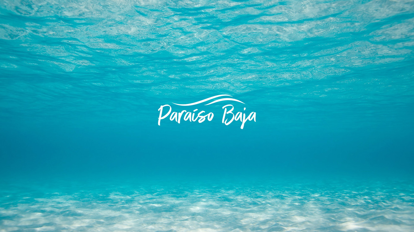 Paraiso Baja- Logo